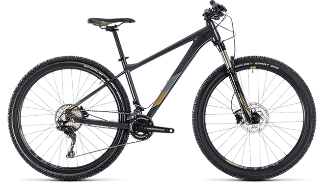 CUBE Access WS SL iridium´n´gold 2018