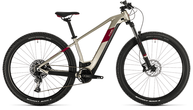 CUBE Access Hybrid EX 500 29 titan´n´berry 2020